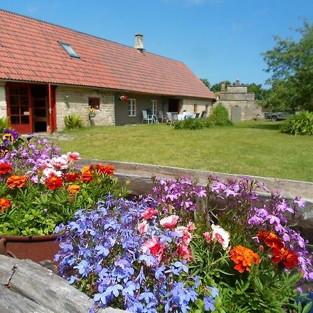 Ansumardi Farmstay Kavandi Dış mekan fotoğraf