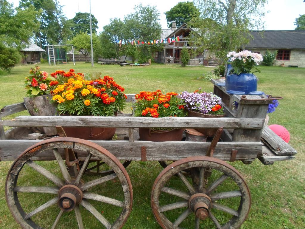 Ansumardi Farmstay Kavandi Dış mekan fotoğraf