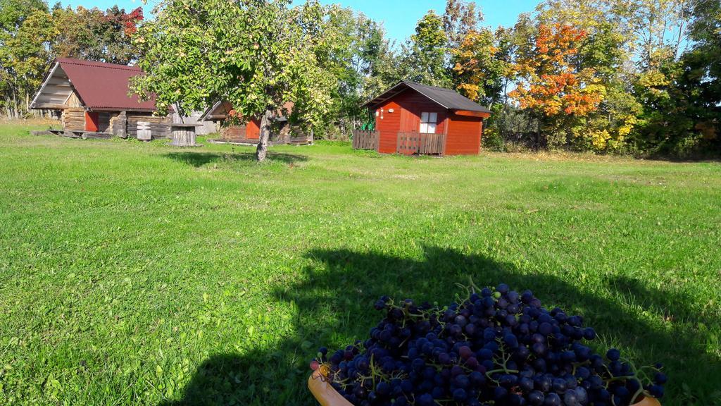 Ansumardi Farmstay Kavandi Dış mekan fotoğraf